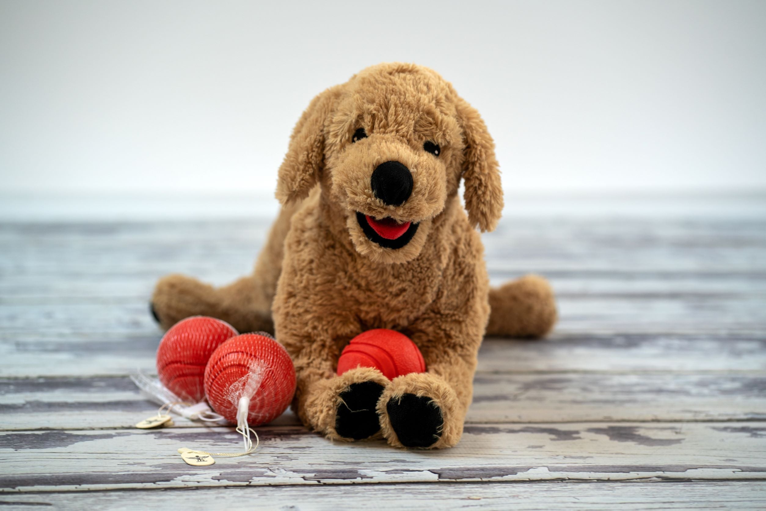 FETCH BALL – THE TAG LLC